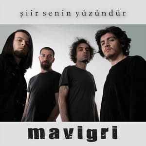 Album cover art for Şiir senin yüzündür