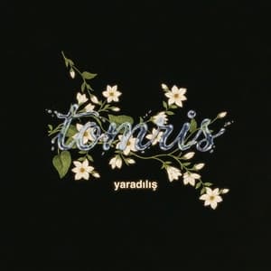 Album cover art for Yaradılış