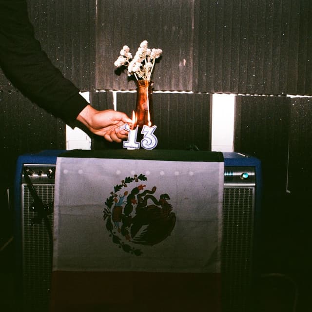 Album cover art for 13