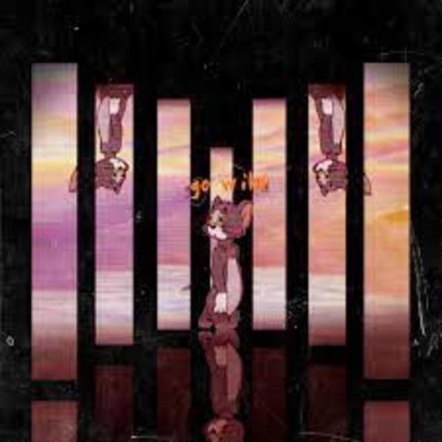 Album cover art for Go Wild