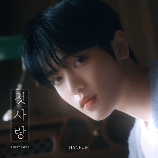 Album cover art for First Love