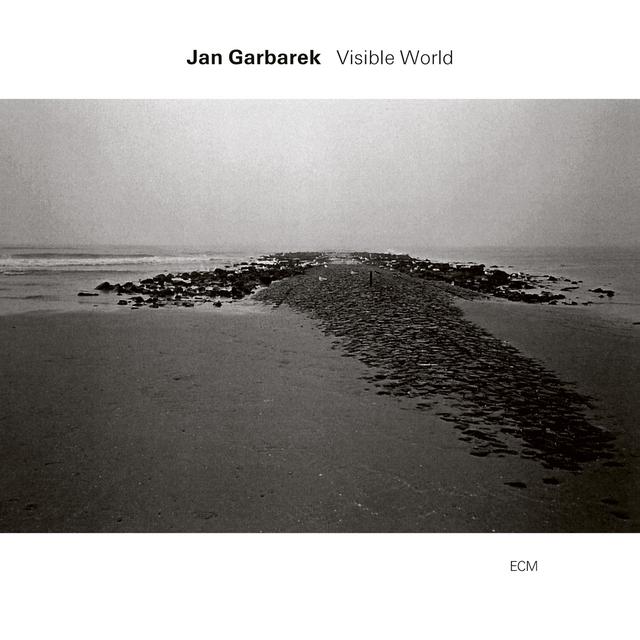 Album cover art for Visible World