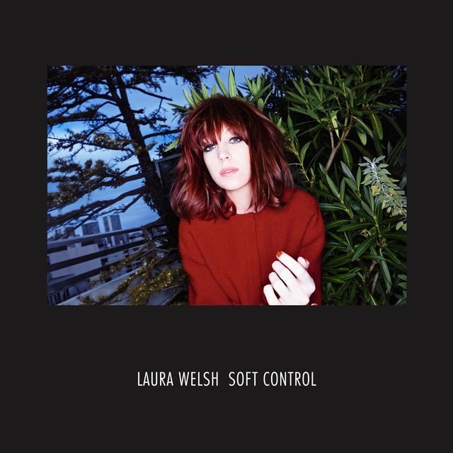 Album cover art for Soft Control