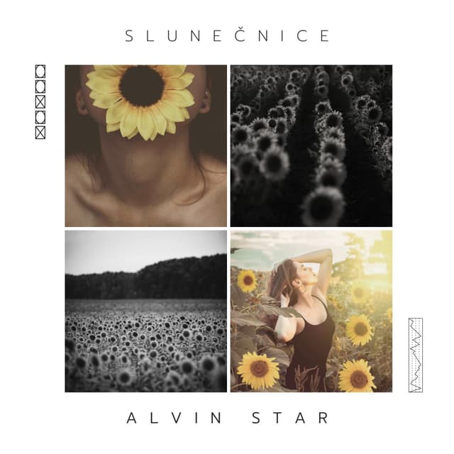 Album cover art for SLUNEČNICE