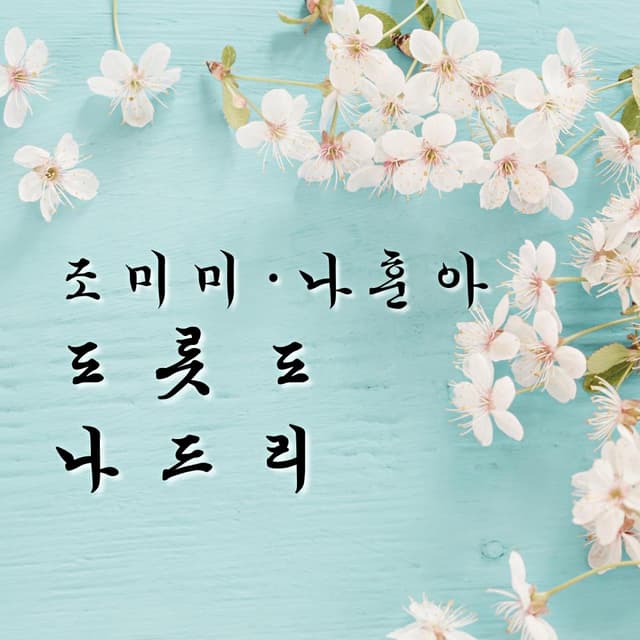 Album cover art for 나훈아, 조미미 도롯도 나드리