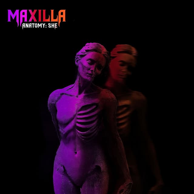 Album cover art for Anatomy: She
