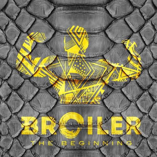 Album cover art for The Beginning