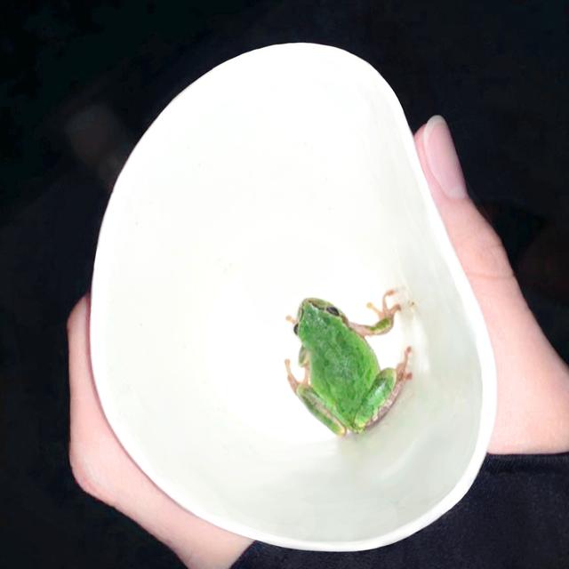 Album cover art for Give Me Back My Summer