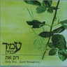 כשאת עצובה