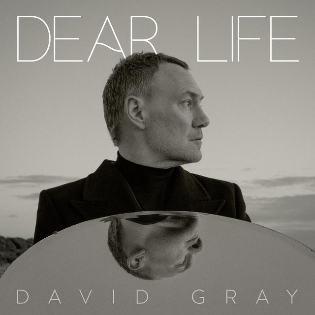 Album cover art for Dear Life