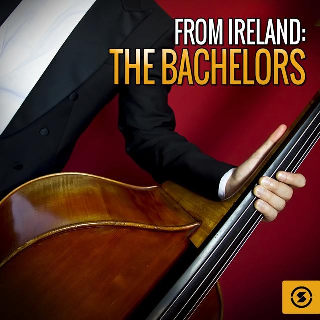 Album cover art for From Ireland : The Bachelors