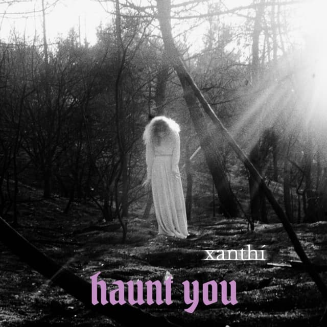 Album cover art for Haunt You