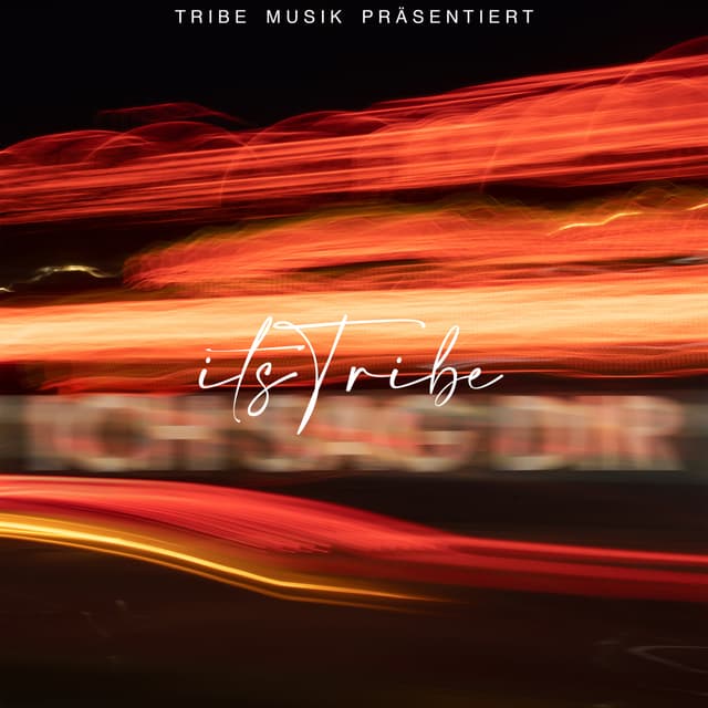 Album cover art for Ich sag dir
