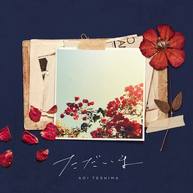 Album cover art for Tadaima