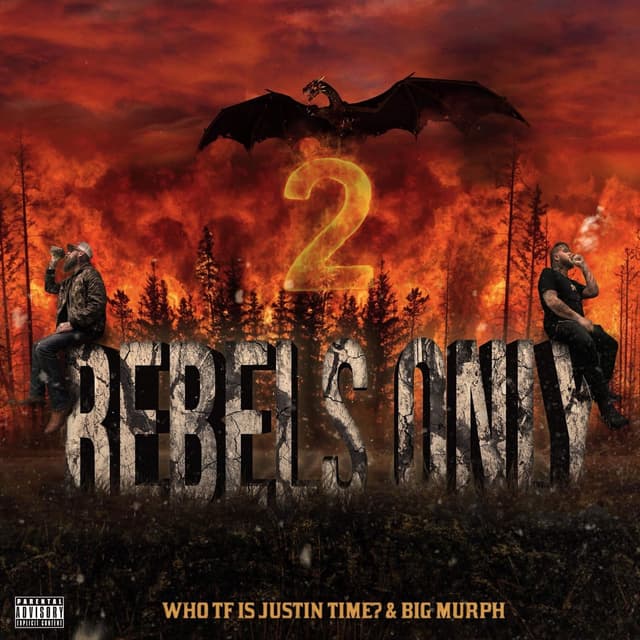 Album cover art for Rebels Only 2