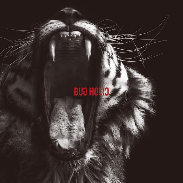 Album cover art for 共感覚