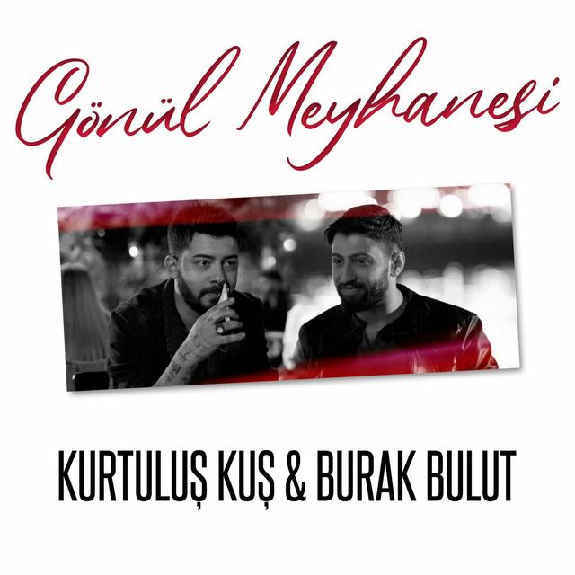 Album cover art for Gönül Meyhanesi