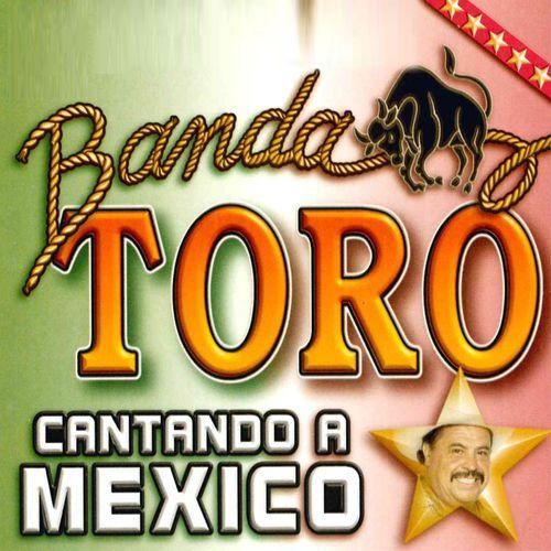Album cover art for Cantando a Mexico