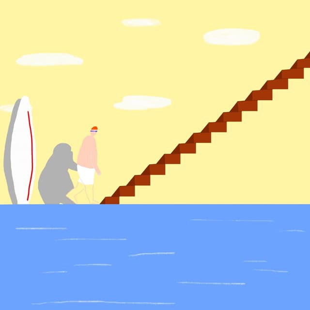 Album cover art for The Next Step