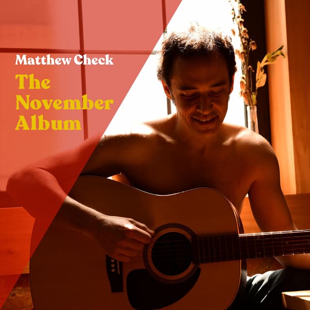 Album cover art for The November Album