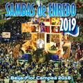 Album cover art for Sambas De Enredo Das Escolas De Samba 2019