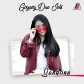 Album cover art for Goyang Dua Jari