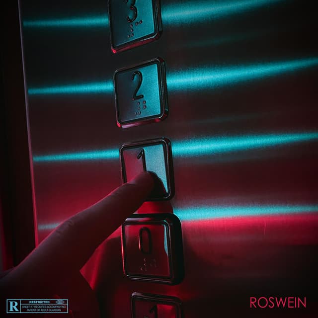 Album cover art for R.D.V