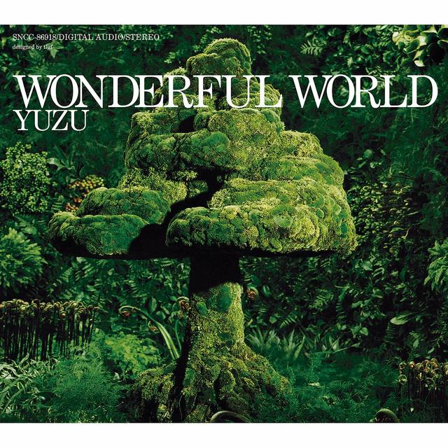 Album cover art for Wonderful World