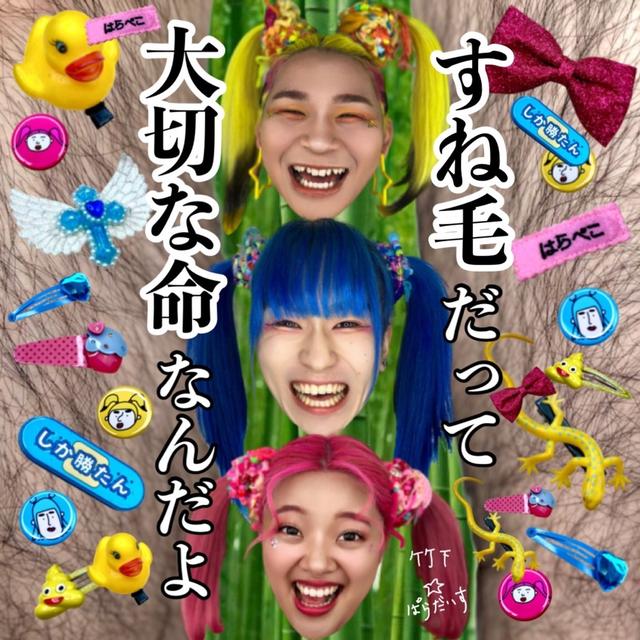 Album cover art for すね毛だって大切な命なんだよ