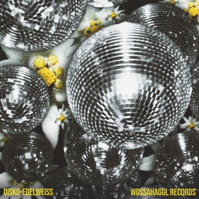 Album cover art for Disko-Edelweiss