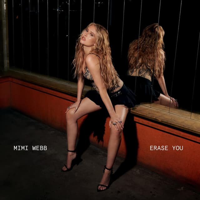 Album cover art for Erase You