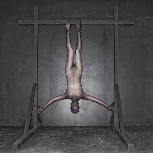 Album cover art for Tulip