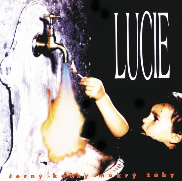 Album cover art for Černý Kočky Mokrý Žáby
