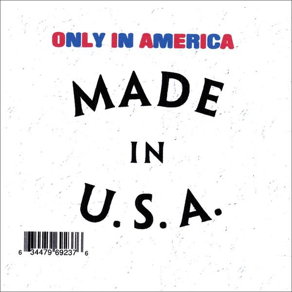 Album cover art for Only in America