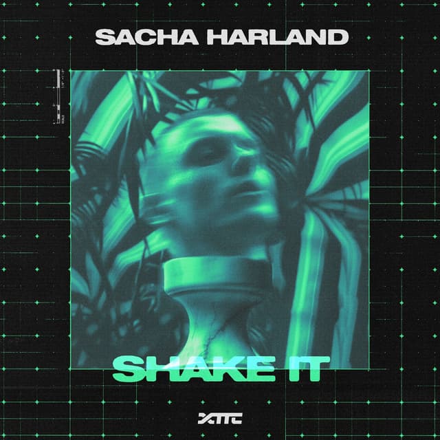 Album cover art for Shake It