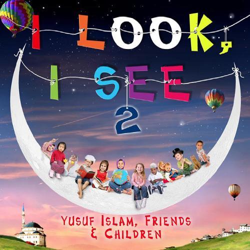 I Look, I See 2