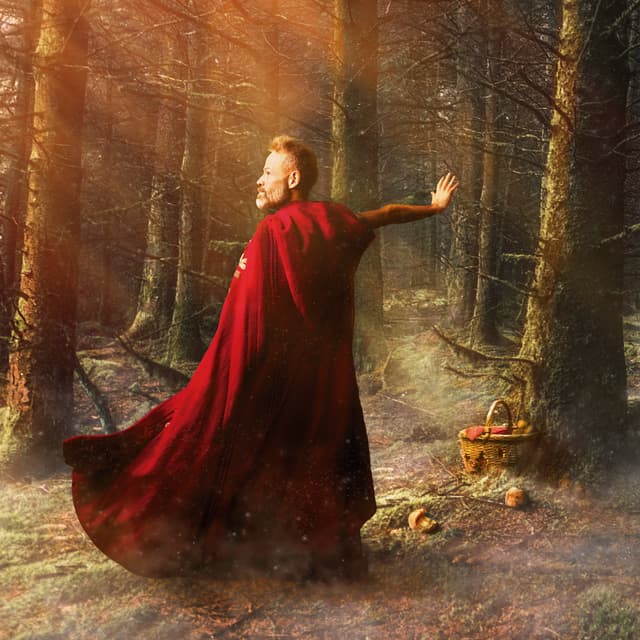 Album cover art for Su reflejo es el lobo del hombre