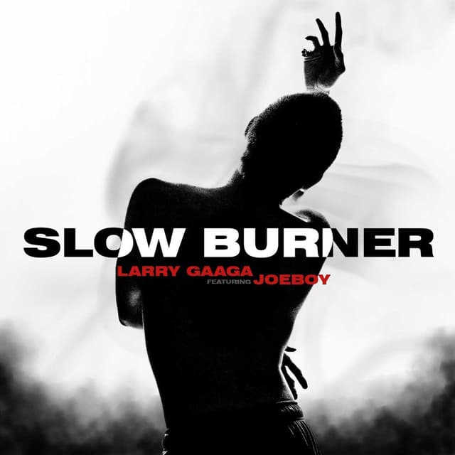 Album cover art for Slow Burner