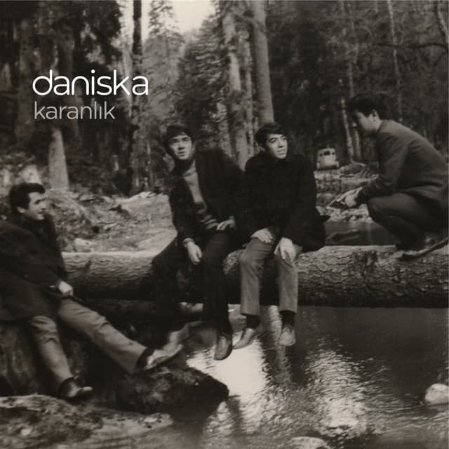 Album cover art for Karanlık