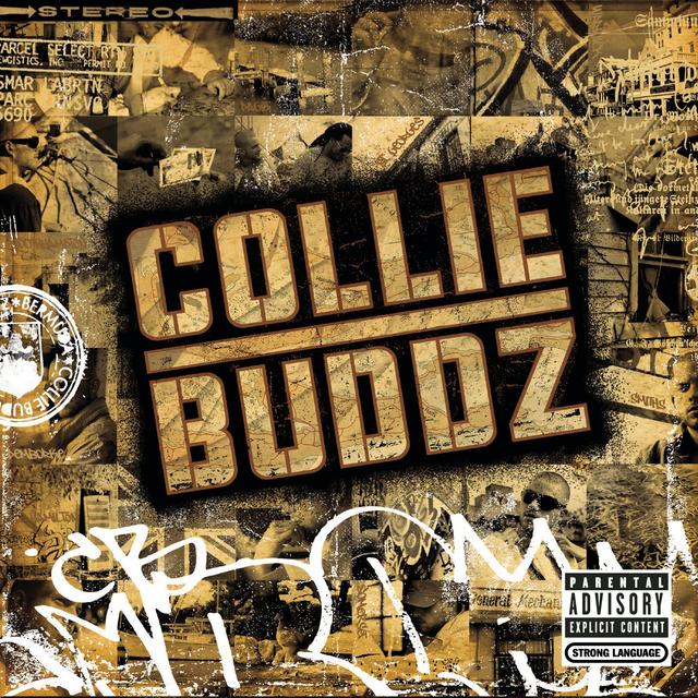 Album cover art for Collie Buddz