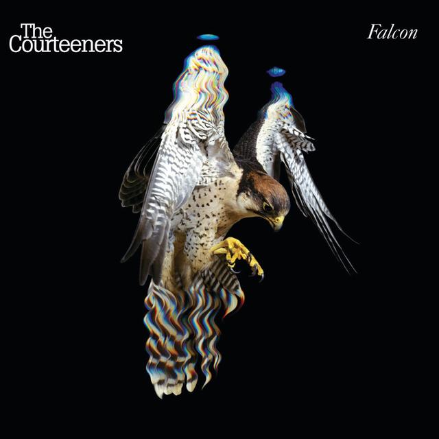 Album cover art for Falcon