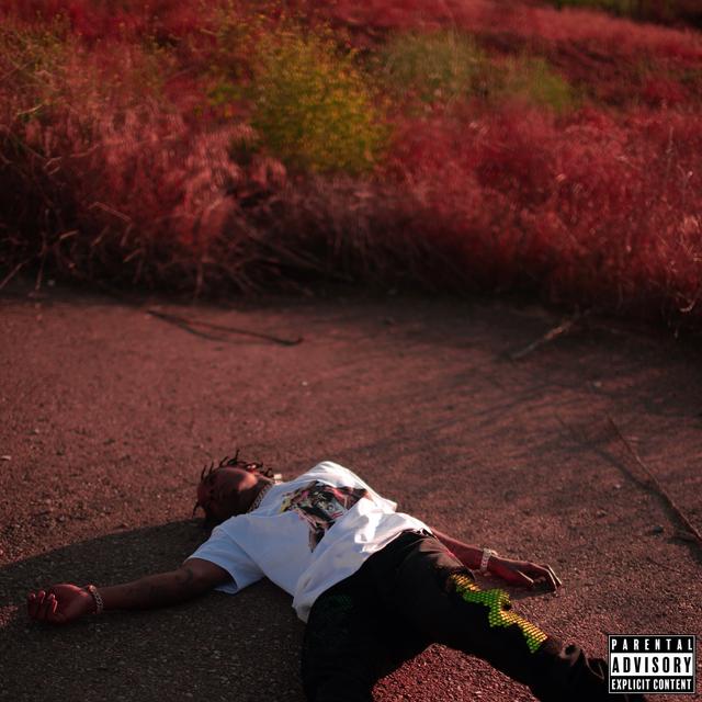 Album cover art for Blood on the Hills