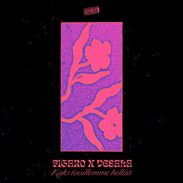 Album cover art for Kaks Toisillemme Hellää