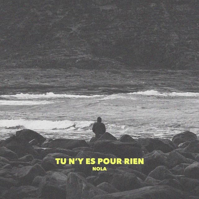 Album cover art for Tu n'y es pour rien