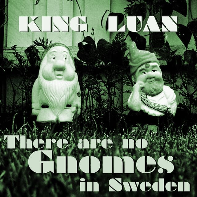 Album cover art for There are no Gnomes in Sweden