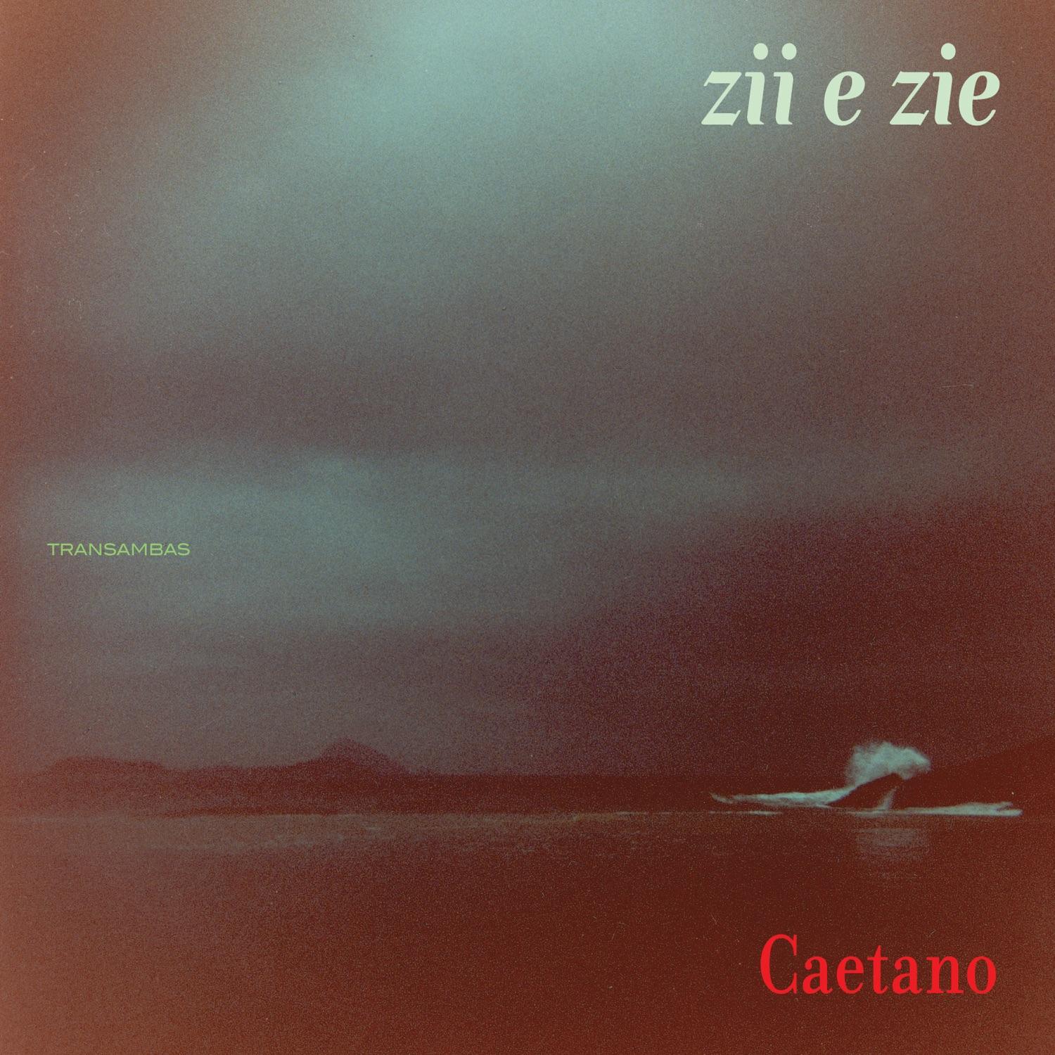 Zii e Zie