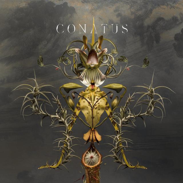 Album cover art for Conatus