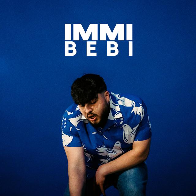 Album cover art for Bebi