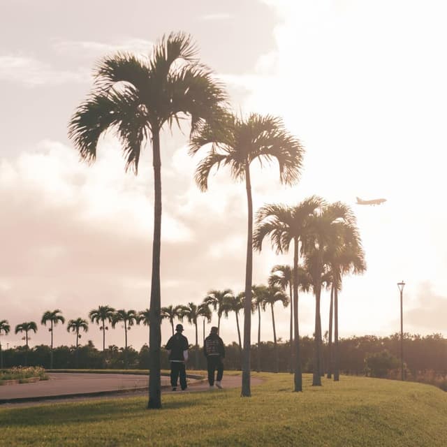Album cover art for SOYOKAZE