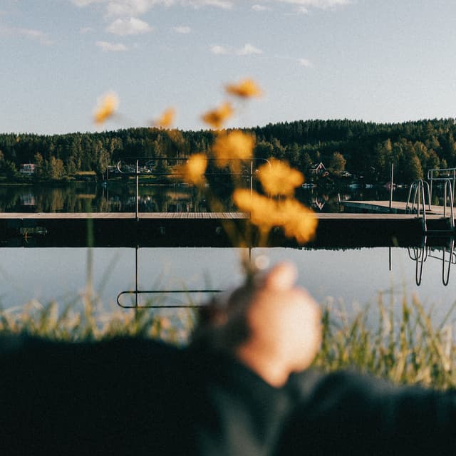 Album cover art for Den sista sommaren